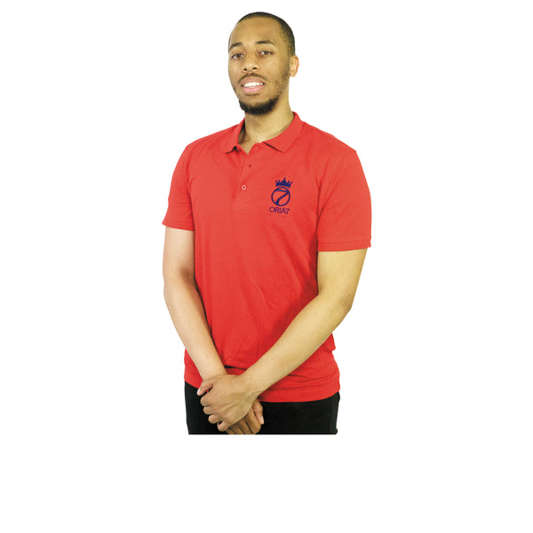 Polo homme